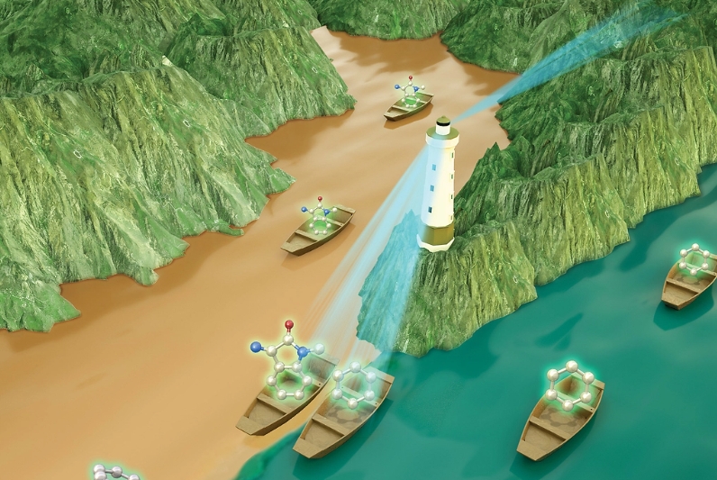 近期准备上线本站小程序